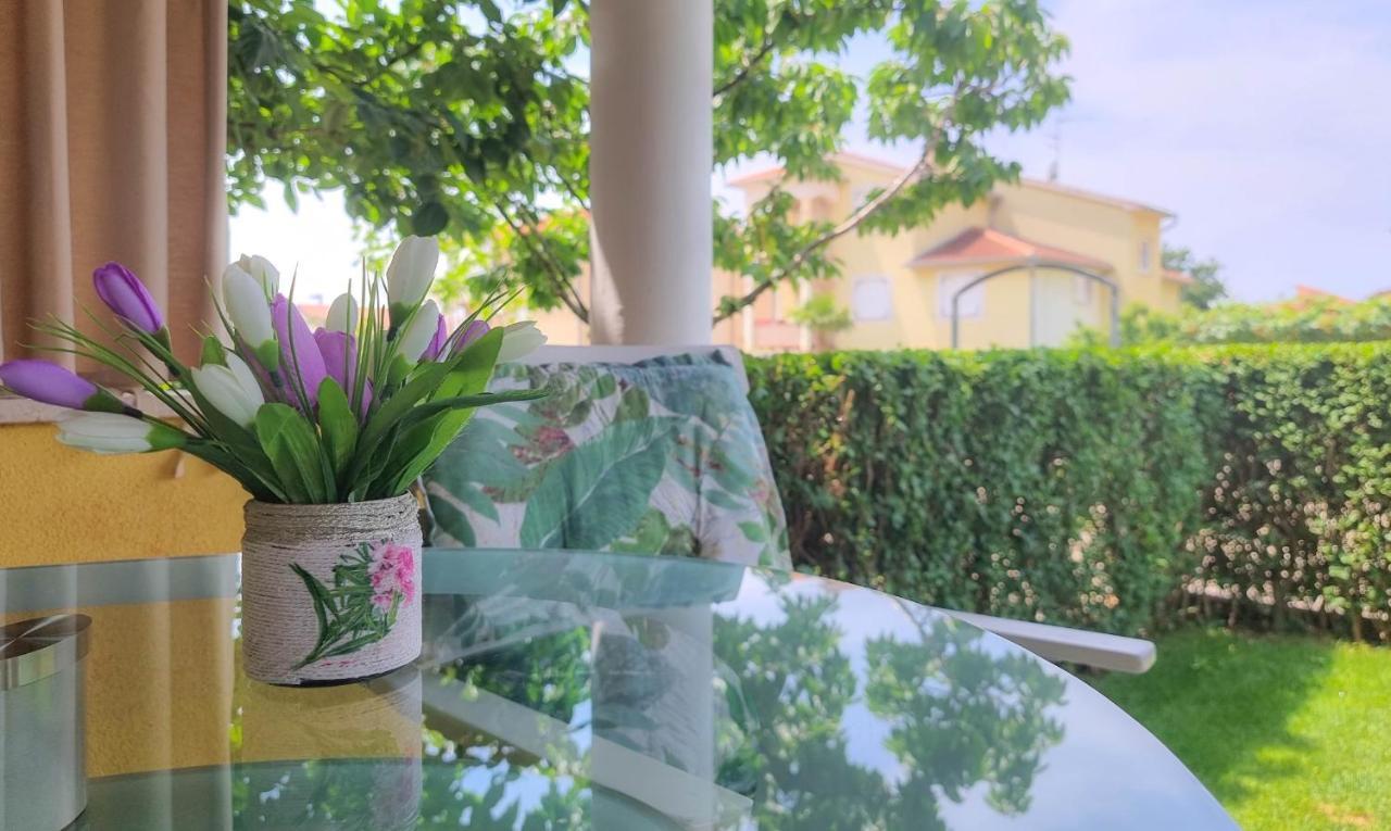 Roko Apartment Novigrad  Ngoại thất bức ảnh