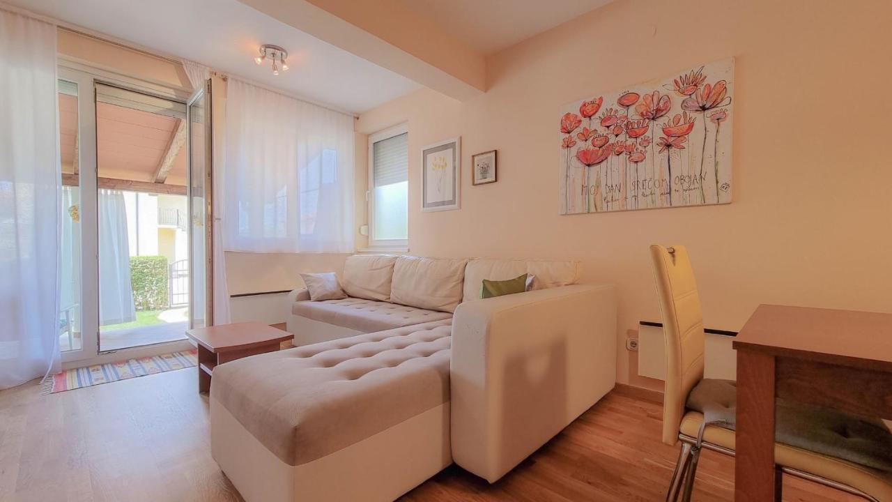 Roko Apartment Novigrad  Ngoại thất bức ảnh